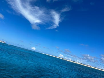 Sea World（シーワールド）に投稿された画像（2023/9/24）