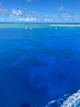 Sea World（シーワールド）に投稿された画像（2023/9/24）