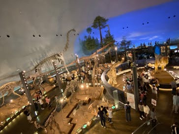 福井県立恐竜博物館に投稿された画像（2023/9/24）