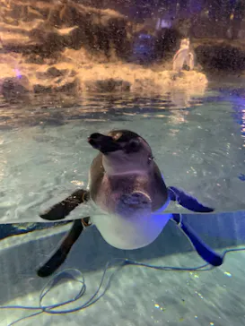 すみだ水族館に投稿された画像（2023/9/24）