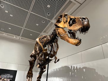 大阪市立自然史博物館に投稿された画像（2023/9/24）