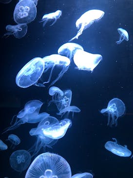 AOAO SAPPOROに投稿された画像（2023/9/24）