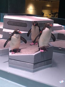 AOAO SAPPOROに投稿された画像（2023/9/24）