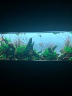 AOAO SAPPOROに投稿された画像（2023/9/24）