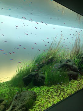 AOAO SAPPOROに投稿された画像（2023/9/24）