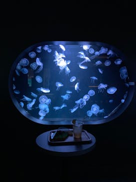 AOAO SAPPOROに投稿された画像（2023/9/24）