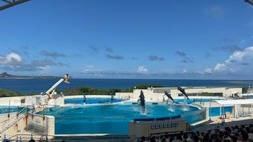 沖縄美ら海水族館に投稿された画像（2023/9/24）