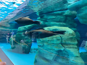 天王寺動物園に投稿された画像（2023/9/24）