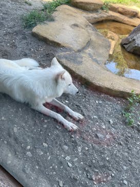 那須どうぶつ王国に投稿された画像（2023/9/24）