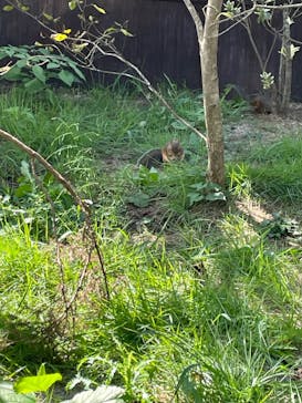 那須どうぶつ王国に投稿された画像（2023/9/24）