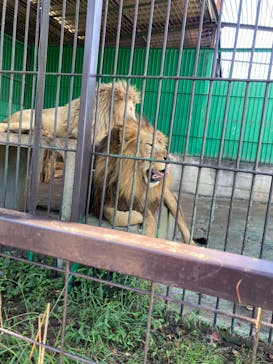 東北サファリパークに投稿された画像（2023/9/24）