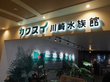 カワスイ 川崎⽔族館に投稿された画像（2023/9/24）