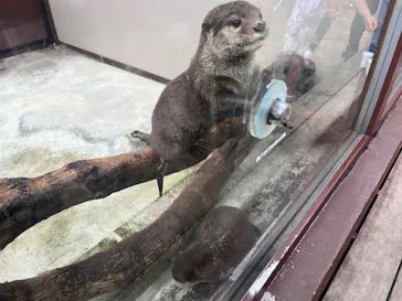 横浜・八景島シーパラダイスに投稿された画像（2023/9/24）