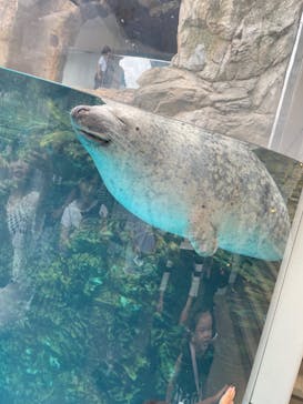 京都水族館に投稿された画像（2023/9/24）