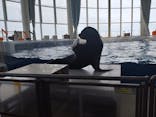 アクアワールド茨城県大洗水族館に投稿された画像（2023/9/24）