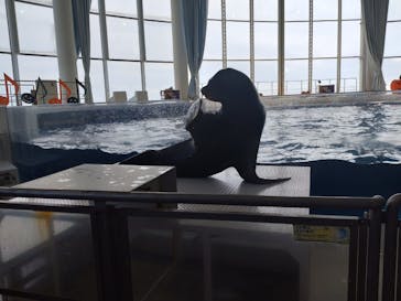 アクアワールド茨城県大洗水族館に投稿された画像（2023/9/24）