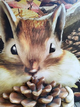 モビリティリゾートもてぎに投稿された画像（2023/9/24）