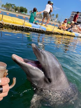 日間賀島ドルフィンビーチに投稿された画像（2023/9/24）