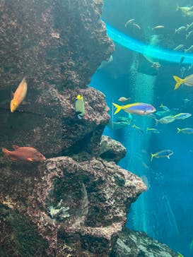 鴨川シーワールドに投稿された画像（2023/9/24）