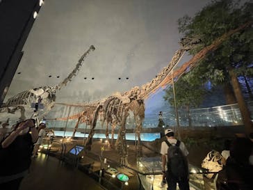 福井県立恐竜博物館に投稿された画像（2023/9/24）