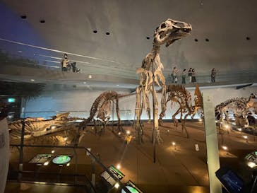 福井県立恐竜博物館に投稿された画像（2023/9/24）