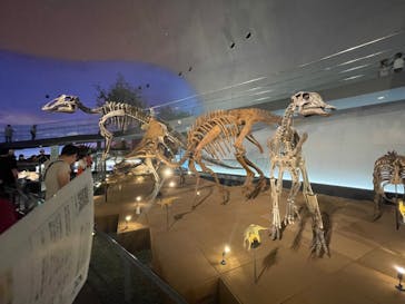 福井県立恐竜博物館に投稿された画像（2023/9/24）