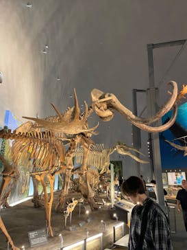 福井県立恐竜博物館に投稿された画像（2023/9/24）