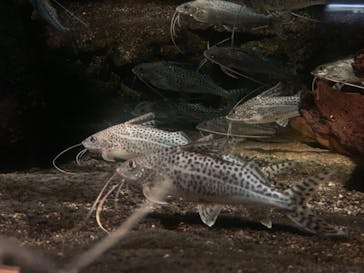 サンシャイン水族館に投稿された画像（2023/9/24）