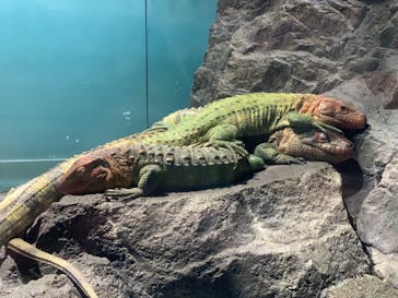 サンシャイン水族館に投稿された画像（2023/9/24）