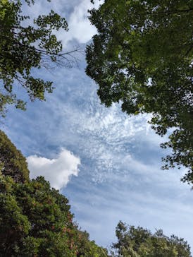 三溪園に投稿された画像（2023/9/24）