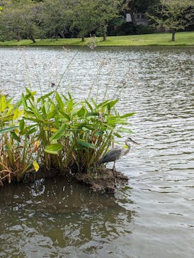 三溪園に投稿された画像（2023/9/24）