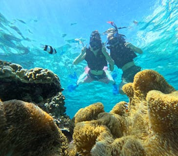 宮古島 ADVENTURE PiPi（ミヤコジマ アドベンチャー ピピ）に投稿された画像（2023/9/24）