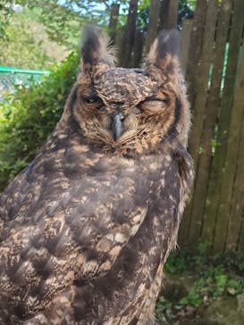 伊豆アニマルキングダムに投稿された画像（2023/9/24）