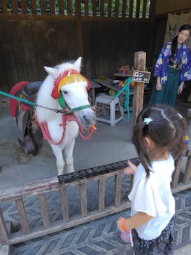 東映太秦映画村に投稿された画像（2023/9/24）