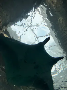 マクセル アクアパーク品川に投稿された画像（2023/9/24）