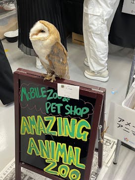 アクアリウムバス プラス　観賞魚といきものマーケットに投稿された画像（2023/9/24）