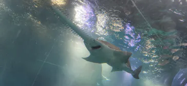 マクセル アクアパーク品川に投稿された画像（2023/9/24）