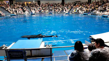 マクセル アクアパーク品川に投稿された画像（2023/9/24）