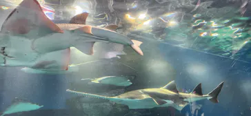 マクセル アクアパーク品川に投稿された画像（2023/9/24）