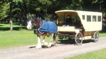 ノーザンホースパークに投稿された画像（2023/9/24）