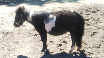 ノーザンホースパークに投稿された画像（2023/9/24）