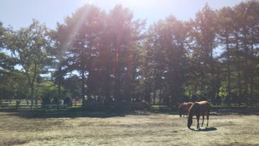 ノーザンホースパークに投稿された画像（2023/9/24）