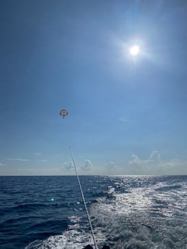 Sea World（シーワールド）に投稿された画像（2023/9/24）