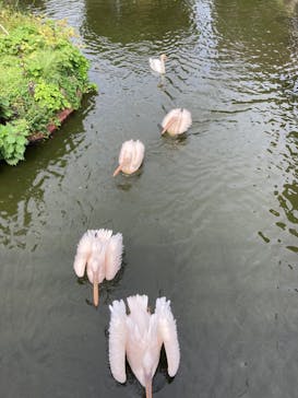 伊豆シャボテン動物公園に投稿された画像（2023/9/24）