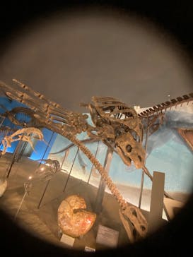 福井県立恐竜博物館に投稿された画像（2023/9/24）