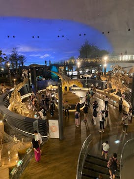 福井県立恐竜博物館に投稿された画像（2023/9/24）