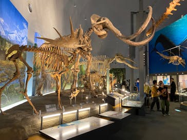 福井県立恐竜博物館に投稿された画像（2023/9/24）