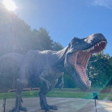 福井県立恐竜博物館に投稿された画像（2023/9/24）