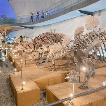福井県立恐竜博物館に投稿された画像（2023/9/24）