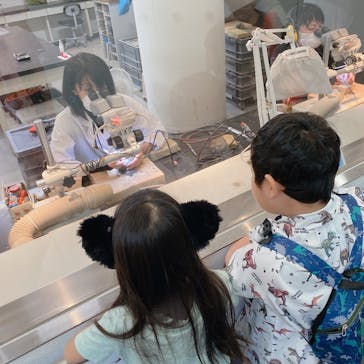 福井県立恐竜博物館に投稿された画像（2023/9/24）